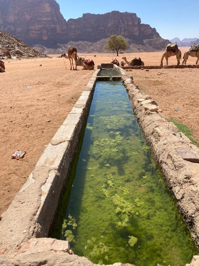 Moon City With Sunset Tour Wadi Rum Bagian luar foto